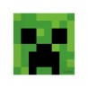 Zestaw kubeczki talerzyki serwetki obrus 37szt Minecraft Urodziny